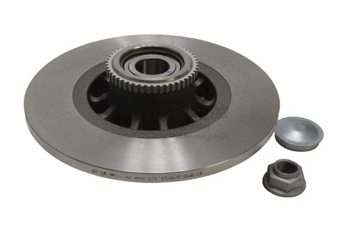 Bremsscheibe hinten für - 2x,